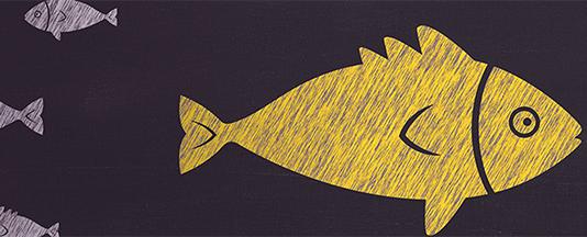 image with one fish swimming the other way